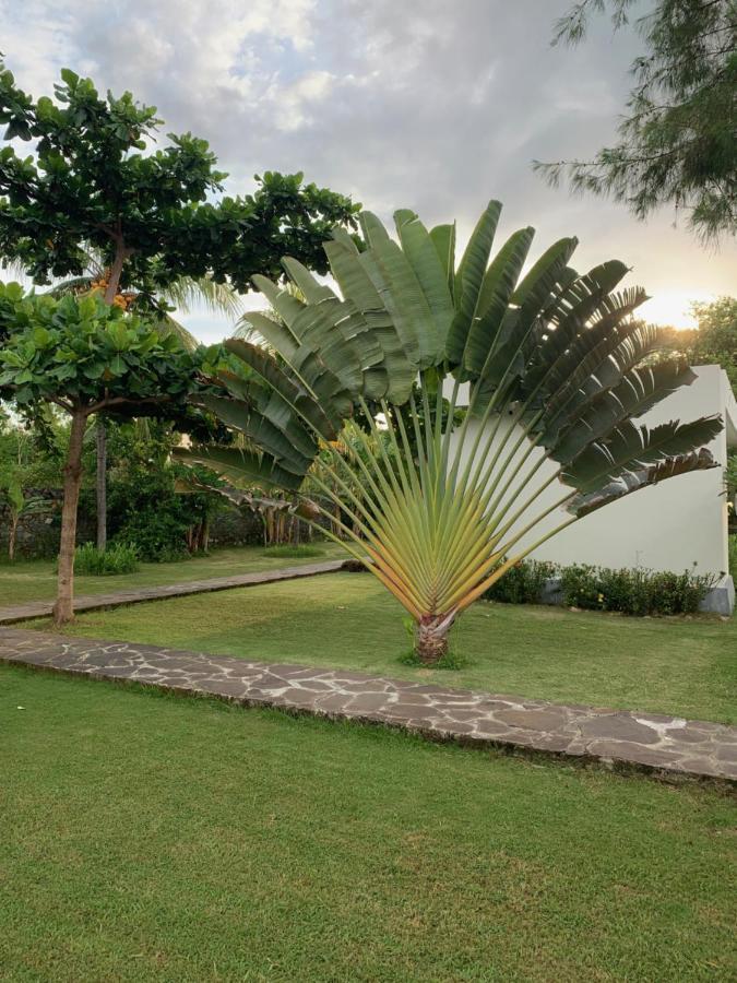 The Suites Lombok Sekotong Buitenkant foto
